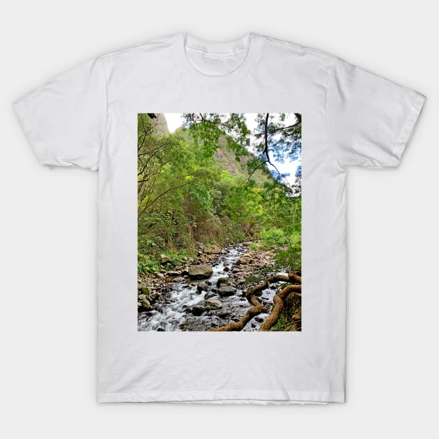 Kinihapai Stream T-Shirt by bobmeyers